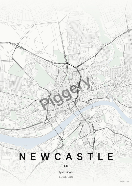 Newcastle Gallery Ink custom map poster by Piggery Studio